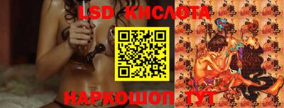 шишки Бузулук
