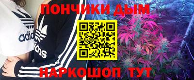 шишки Бузулук